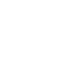 digipalma365